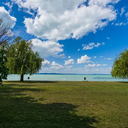 Myflat Coral 64 Premium *