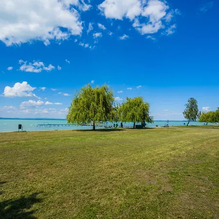 Myflat Coral 64 Premium