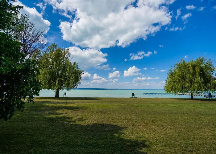 Myflat Coral 64 Premium *