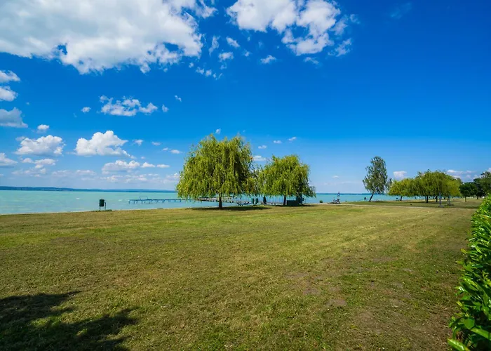 Myflat Coral 64 Premium